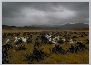 Image description is not available for 2024.017